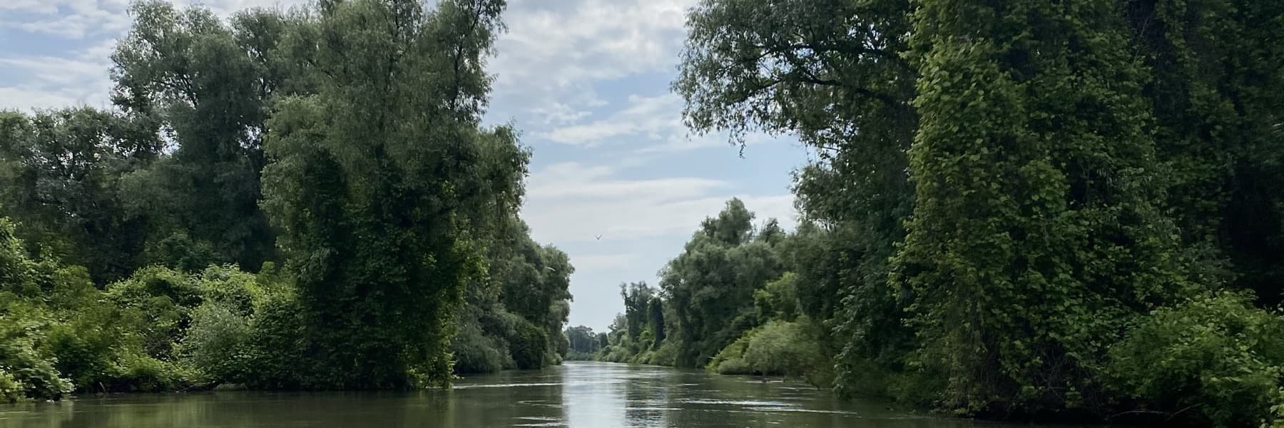 Balta Greaca